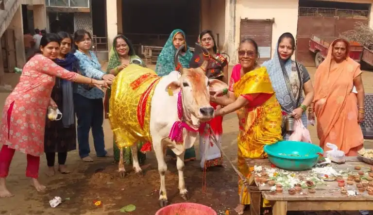 गोपाष्टमी पर हजारों गौ भक्तों ने किया गौपूजन लगाई परिक्रमा
